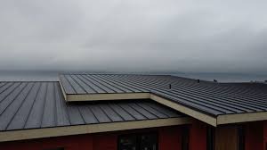 Best Solar Panel Roofing Installation  in Wooster, AR